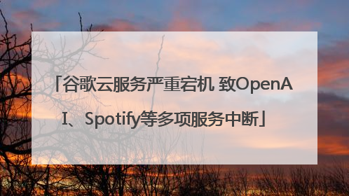 谷歌云服务严重宕机 致OpenAI、Spotify等多项服务中断