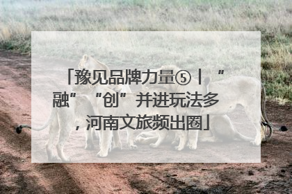 豫见品牌力量⑤丨“融”“创”并进玩法多，河南文旅频出圈