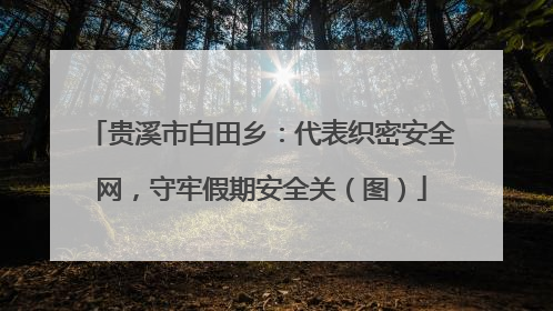 贵溪市白田乡：代表织密安全网，守牢假期安全关（图）