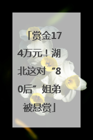 赏金174万元！湖北这对“80后”姐弟被悬赏