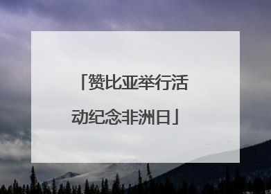 赞比亚举行活动纪念非洲日
