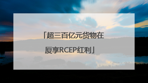 超三百亿元货物在厦享RCEP红利