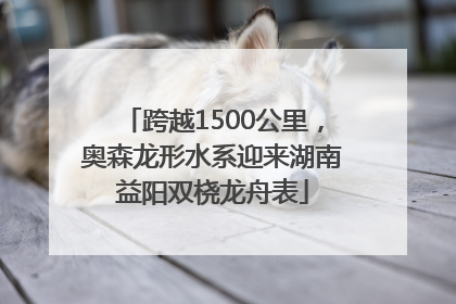 跨越1500公里，奥森龙形水系迎来湖南益阳双桡龙舟表