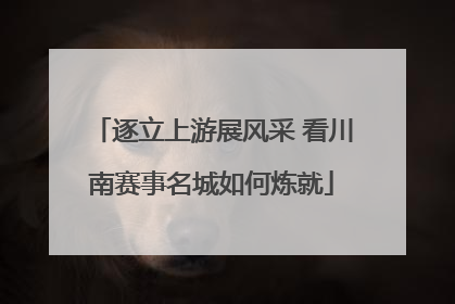 逐立上游展风采 看川南赛事名城如何炼就