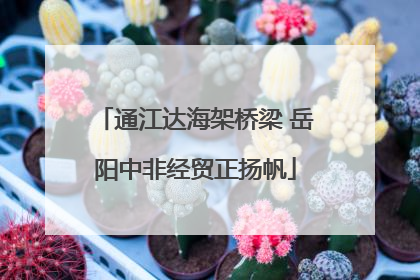 通江达海架桥梁 岳阳中非经贸正扬帆