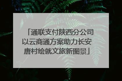 通联支付陕西分公司以云商通方案助力长安唐村绘就文旅新图景