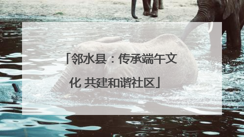 邻水县：传承端午文化 共建和谐社区