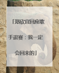 郑欣宜回应歌手退赛：我一定会回来的