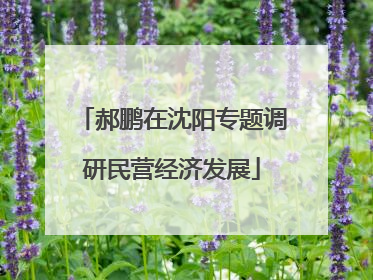 郝鹏在沈阳专题调研民营经济发展