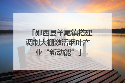 郧西县羊尾镇搭建调制大棚激活烟叶产业“新动能”