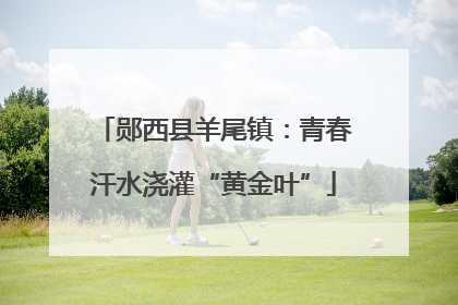 郧西县羊尾镇：青春汗水浇灌“黄金叶”