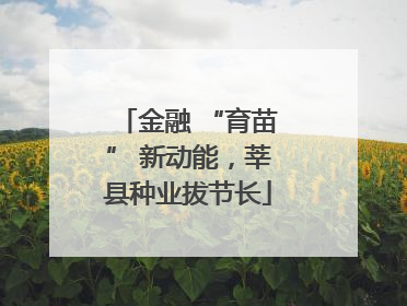 金融 “育苗” 新动能，莘县种业拔节长
