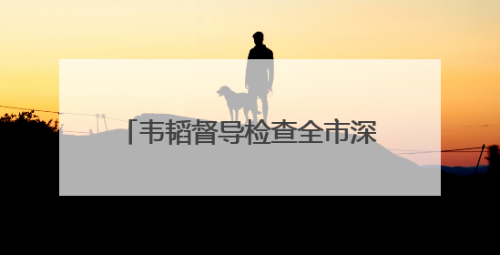 韦韬督导检查全市深入贯彻中央八项规定精神学习教育开展情况