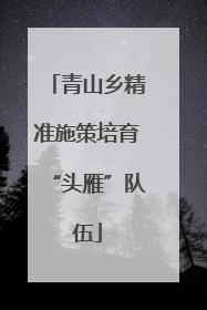 青山乡精准施策培育“头雁”队伍