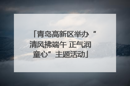青岛高新区举办“清风拂端午 正气润童心”主题活动