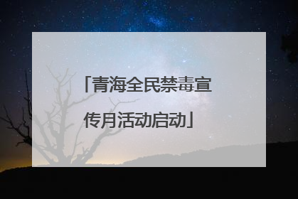 青海全民禁毒宣传月活动启动