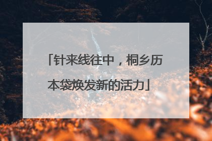 针来线往中，桐乡历本袋焕发新的活力