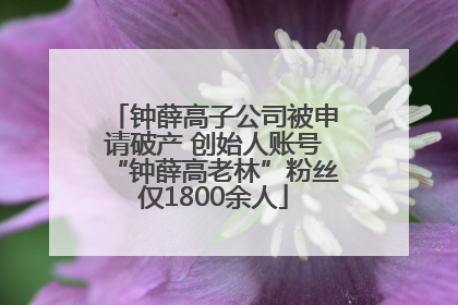 钟薛高子公司被申请破产 创始人账号“钟薛高老林”粉丝仅1800余人