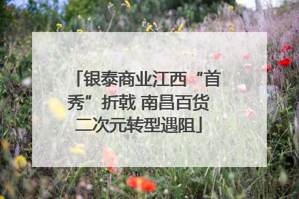 银泰商业江西“首秀”折戟 南昌百货二次元转型遇阻