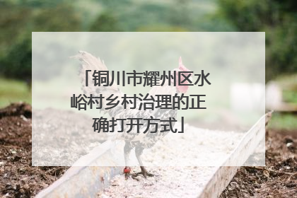 铜川市耀州区水峪村乡村治理的正确打开方式