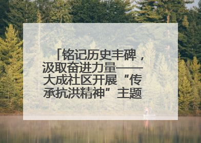 铭记历史丰碑，汲取奋进力量——大成社区开展“传承抗洪精神”主题党日活动