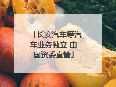 长安汽车等汽车业务独立 由国资委直管