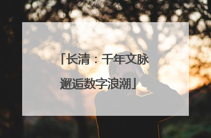 长清：千年文脉邂逅数字浪潮