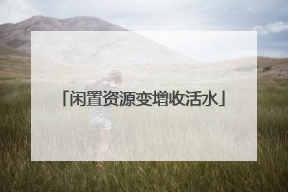 闲置资源变增收活水