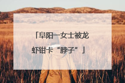 阜阳一女士被龙虾钳卡“脖子”