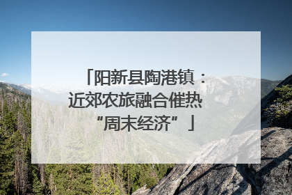 阳新县陶港镇：近郊农旅融合催热“周末经济”