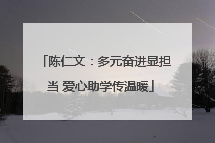 陈仁文：多元奋进显担当 爱心助学传温暖