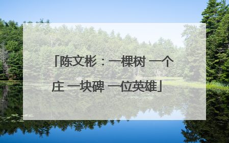 陈文彬：一棵树 一个庄 一块碑 一位英雄