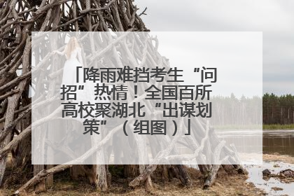 降雨难挡考生“问招”热情！全国百所高校聚湖北“出谋划策”（组图）