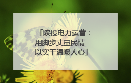 陕投电力运营：用脚步丈量民情 以实干温暖人心