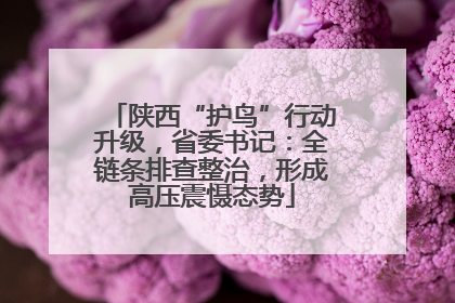 陕西“护鸟”行动升级，省委书记：全链条排查整治，形成高压震慑态势