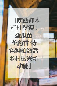 陕西神木栏杆堡镇：一垄瓜苗一垄药香 特色种植激活乡村振兴新动能