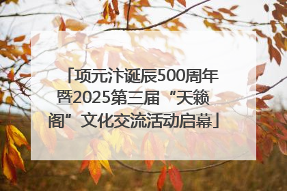 项元汴诞辰500周年暨2025第三届“天籁阁”文化交流活动启幕