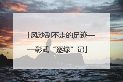 风沙刮不走的足迹——彰武“逐绿”记