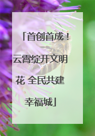首创首成！云霄绽开文明花 全民共建幸福城