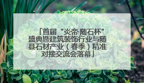 首届“炎帝·随石杯”盛典暨建筑装饰行业与随县石材产业（春季）精准对接交流会落幕