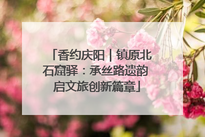 香约庆阳｜镇原北石窟驿：承丝路遗韵 启文旅创新篇章