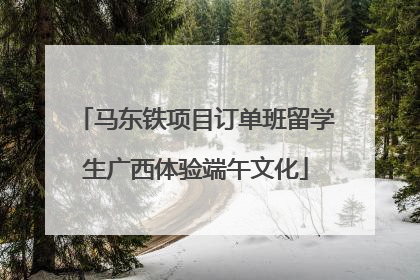马东铁项目订单班留学生广西体验端午文化