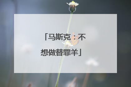 马斯克：不想做替罪羊