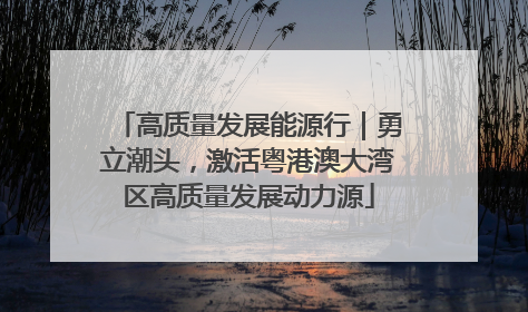 高质量发展能源行｜勇立潮头，激活粤港澳大湾区高质量发展动力源