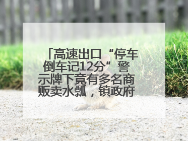 高速出口“停车倒车记12分”警示牌下竟有多名商贩卖水瓢，镇政府：系流动摊位，已多次劝离