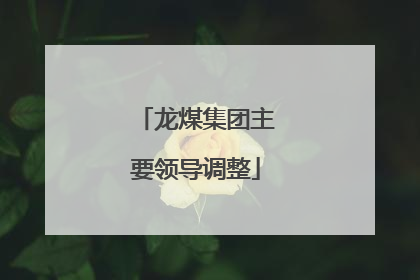 龙煤集团主要领导调整