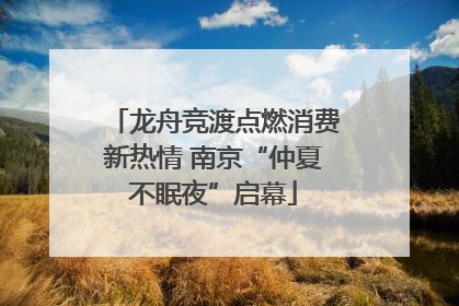 龙舟竞渡点燃消费新热情 南京“仲夏不眠夜”启幕