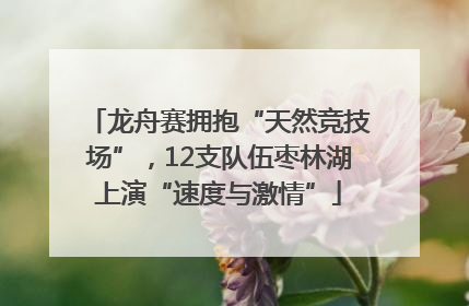 龙舟赛拥抱“天然竞技场”，12支队伍枣林湖上演“速度与激情”