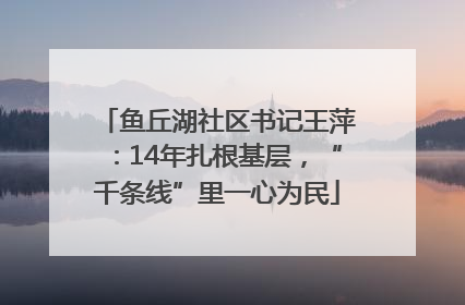 鱼丘湖社区书记王萍：14年扎根基层，“千条线”里一心为民