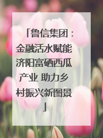 鲁信集团：金融活水赋能济阳富硒西瓜产业 助力乡村振兴新图景